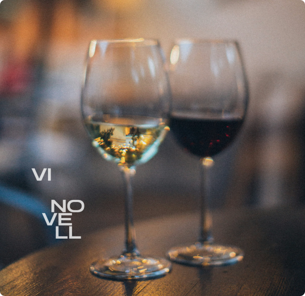 Vi Novell 3 - Ferastudio